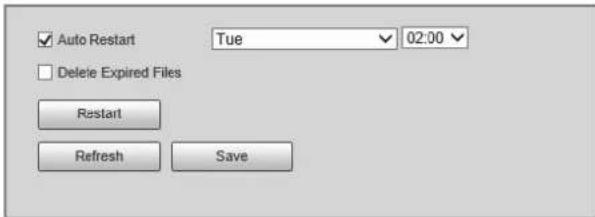 Auto Restart Tue 02:00 Delete Expired Files Restart Refresh Save