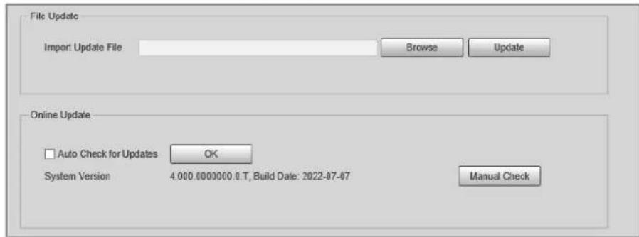 File Update Import Update File Browse Update Online Update □ Auto Check for Updates OK System Version 4.000.000000.0.T, Build Date: 2022-07-07 Manual Check