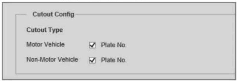 Cutout Config Cutout Type Motor Vehicle ✓ Plate No. Non-Motor Vehicle ✓ Plate No.