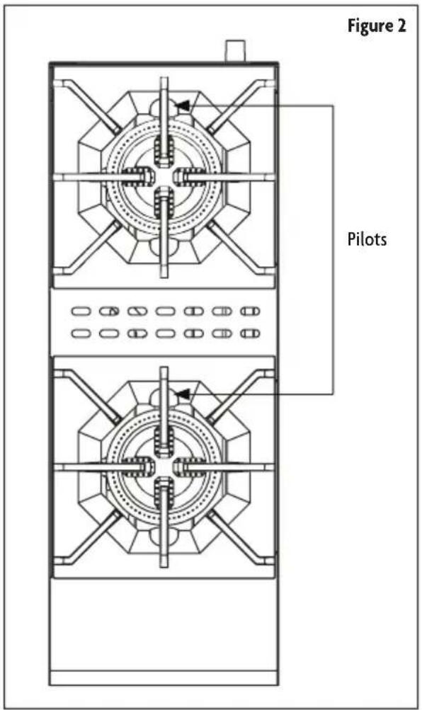 Figure 2 Pilots