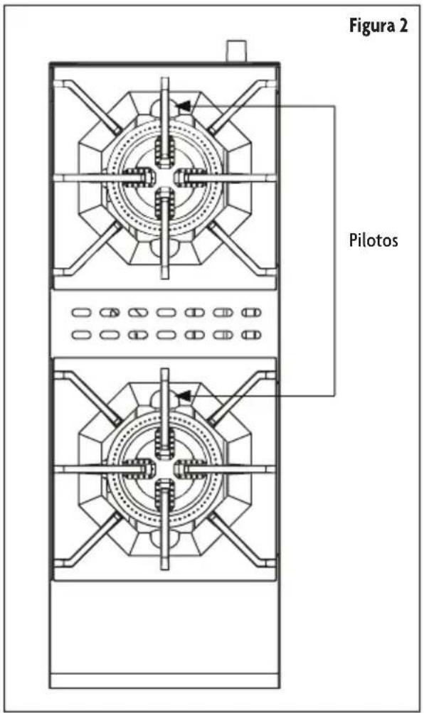Figura 2 Pilotos