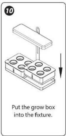 10 Put the grow box into the fixture.