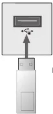 LG PA75U - Connecting a USB Storage Device - 1