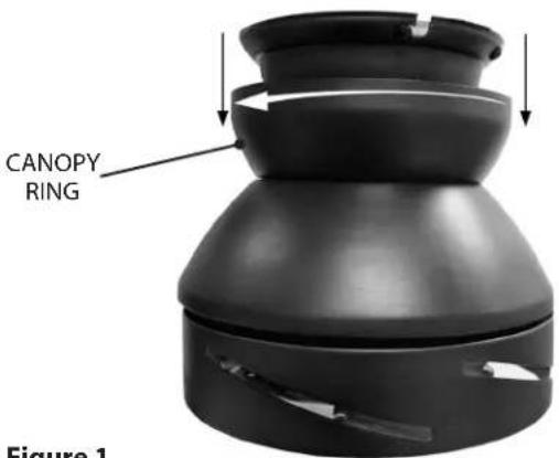 CANOPY RING Figure 1