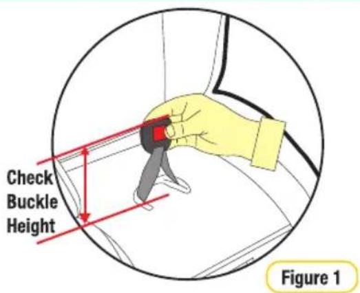 Check Buckle Height Figure 1