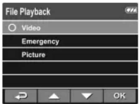 HP f300c - Playback Videos and Photos - 1