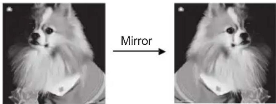 COBRA DPS1200 - Capture: Mirror/Flip(Hard Key) - 1