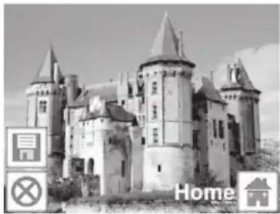 COBRA DPS1200 - Capture: Home - 1