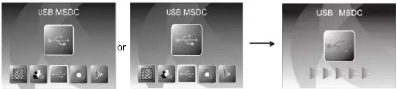 COBRA DPS1200 - 8: USB mode - 1