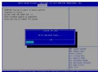 Supermicro SuperServer 1019P-WTR - D.3 Recovering the BIOS Block with a USB Device - 4