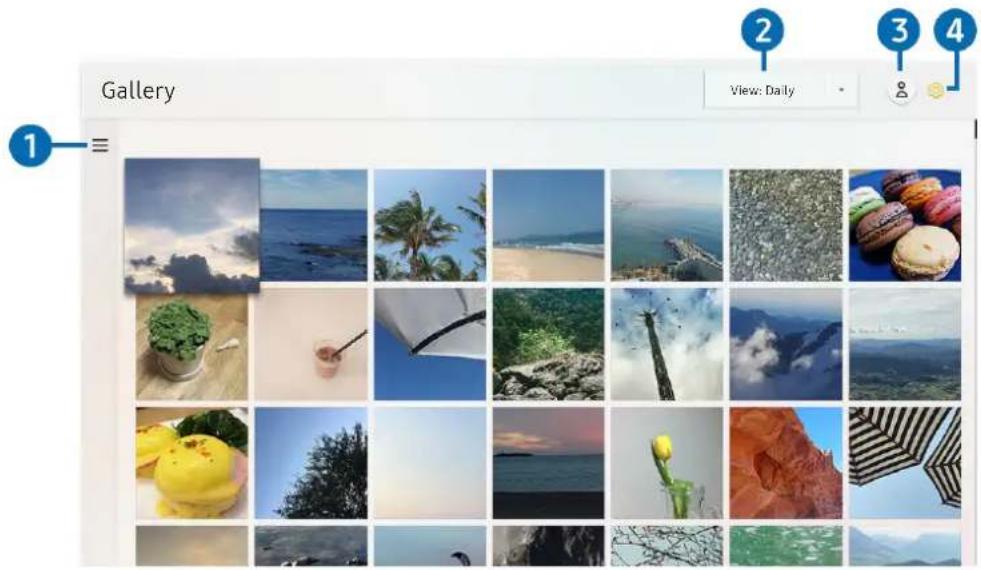 Gallery View: Daily 1 2 3 4