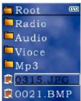 Root Radio Audio Vioce Mp3 0315.JPG 0021.BMP