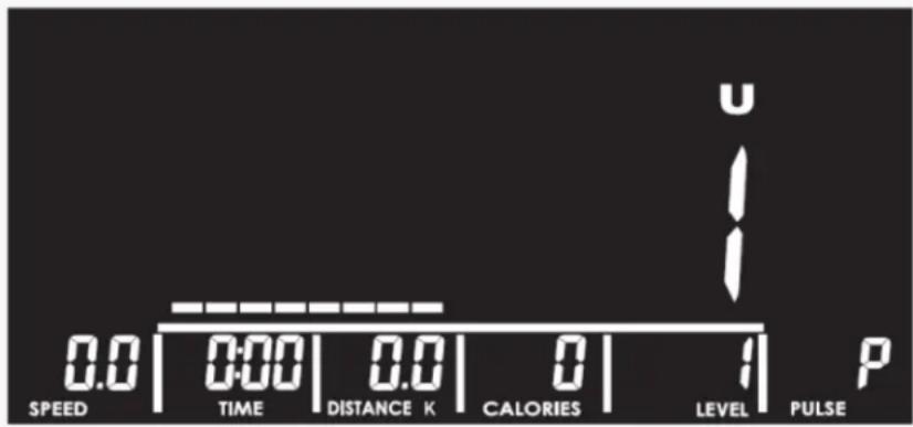 SPEED 0.0 | 0:00 | 0.0 | 0 | 1 | P TIME DISTANCE K CALORIES LEVEL PULSE