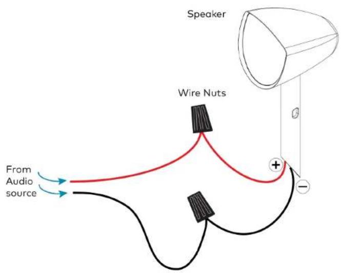 Speaker Wire Nuts From Audio source + - -