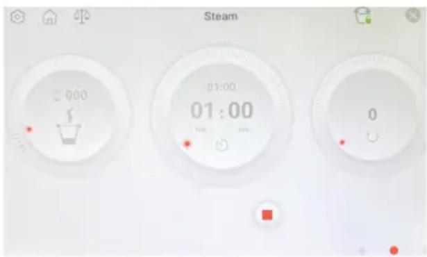 Steam 0:00 01:00 01:00 0 0