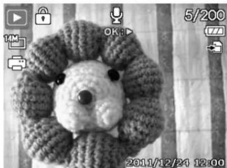 HP s500 - Playing Voice Memo - 1