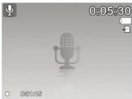 HP s500 - Using Voice Recording - 1