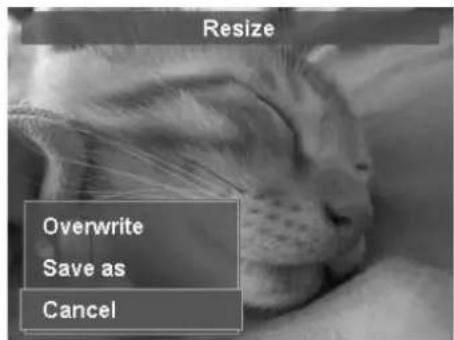 Resize Overwrite Save as Cancel