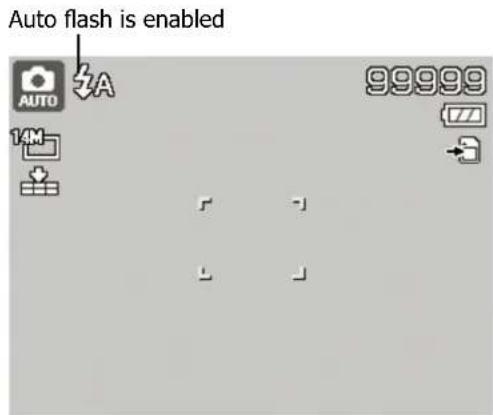 Auto flash is enabled AUTO 14M 99999 770
