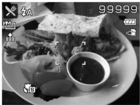 HP s500 - Using Food Mode - 1