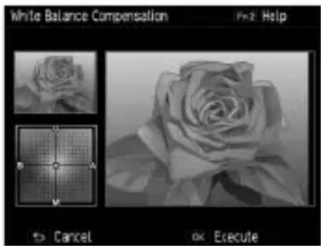 White Balance Compensation Fun2 Help Cancel OK Execute
