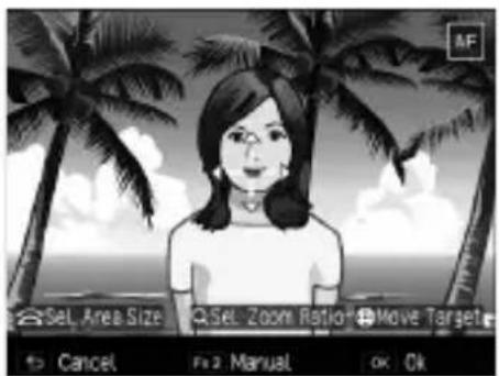 合Sel Area Size QSel Zoom Ratio#Move Target# Cancel Manual OK Ok