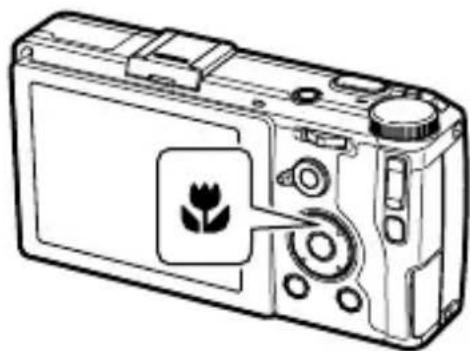 RICOH GR Limited Edition - Shooting close-ups (Macro Mode) - 1