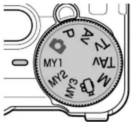 MY1 MY2 MY3 MY4 MY5 MY6 MY7