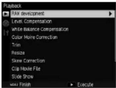 Playback RAW development Level Compensation White Balance Compensation Color Moire Correction Trim Resize Skew Correction Clip Movie File Slide Show MENU Finish Execute