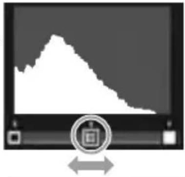 RICOH GR Limited Edition - Adjusting the Overall Brightness - 1