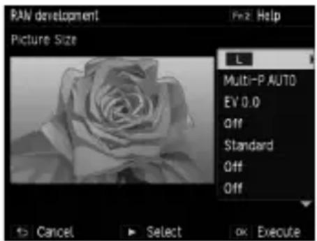 RAW development Picture Size L Multi-P AUTO EV 0.0 Off Standard Off Off Cancel Select OK Execute
