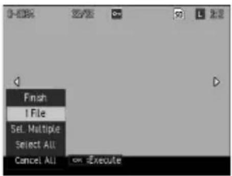 Finish I File Sel. Multiple Select All Cancel All on Execute