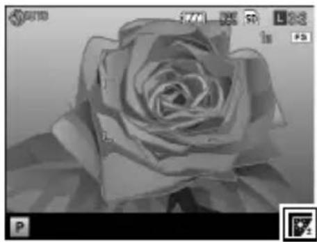 RICOH GR Limited Edition - Setting the White Balance - 5