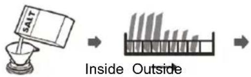 SAIT Inside Outside