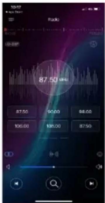 10:17 Radio 87.50 kHz 87.50 90.00 98.00 106.00 108.00 87.50