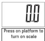 Taylor 5294756 - START-UP THE SCALE - 1