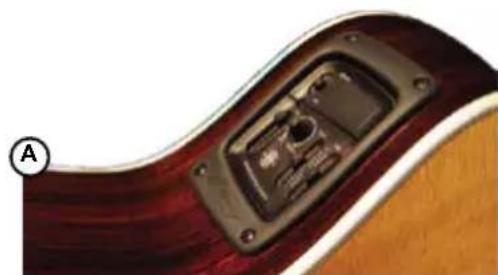 Radial Engineering PZ-Deluxe - Instruments and Pickups - 1