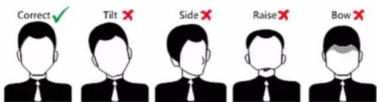 Correct ✓ Tilt ✗ Side ✗ Raise ✗ Bow ✗
