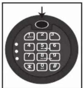 1 2 3 4 5 6 7 8 9 0 # (1/2)