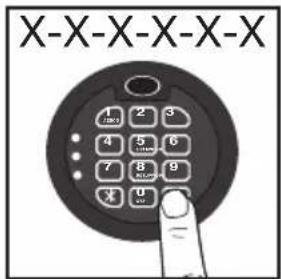 X-X-X-X-X-X