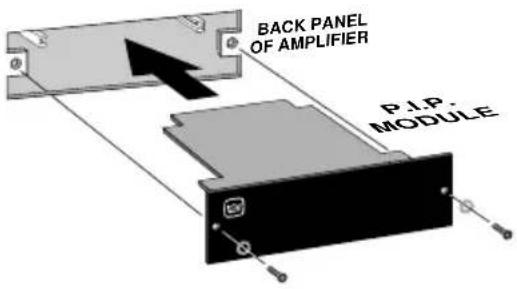 BACK PANEL OF AMPLIFIER P.I.P. MODULE