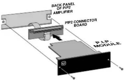 BACK PANEL OF PIP2 AMPLIFIER PIP2 CONNECTOR BOARD PIP2 MODULE