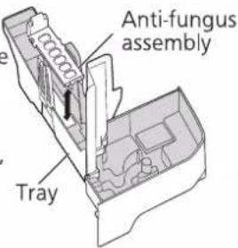 Anti-fungus assembly Tray