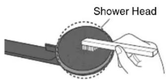 Shower Head
