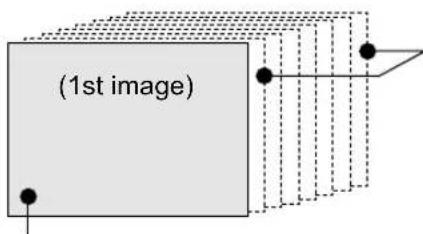 (1st image)
