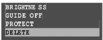 BRIGHTNESS GUIDE OFF PROTECT DELETE