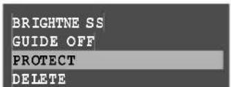BRIGHTNESS GUIDE OFF PROTECT DELETE