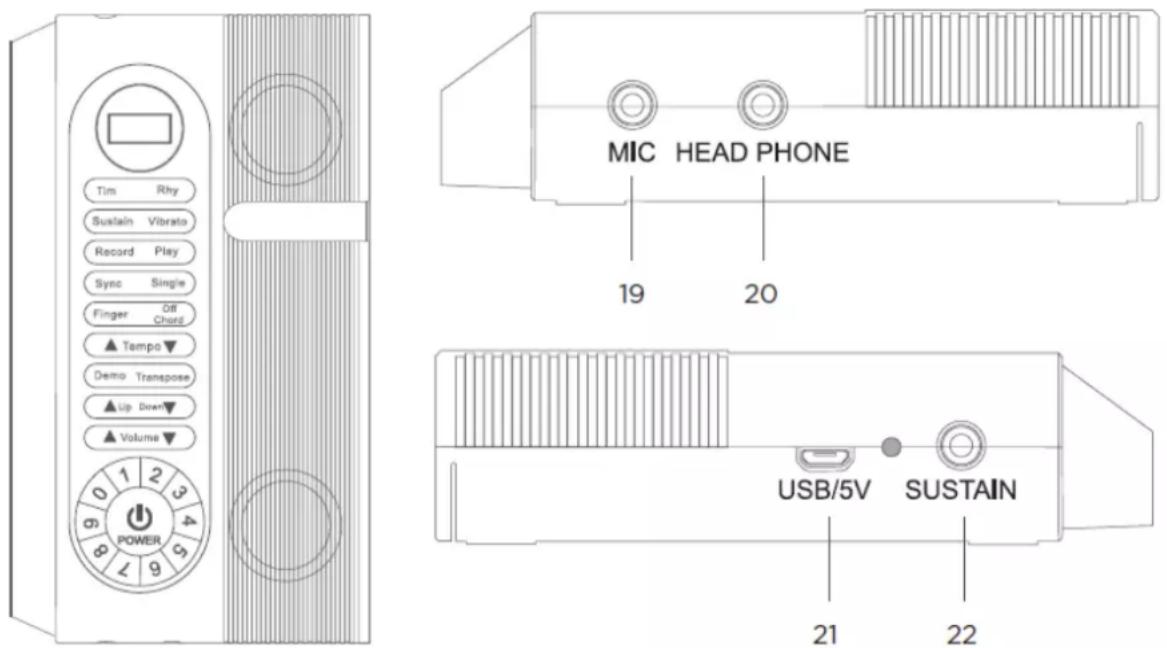 Tim Rhy Sustain Vibrato Record Play Sync Single Finger Off Chord ▲ Tempo▼ Demo Transpose ▲ Up Down▼ ▲ Volume▼ 0 1 2 3 4 POWER MIC HEAD PHONE 19 20 USB/5V SUSTAIN 21 22