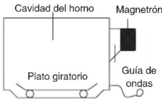Cavidad del horno Magnetrón Plato giratorio Guía de ondas