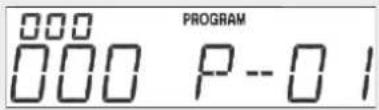 000 000 P--01 PROGRAM